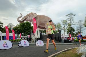 BIB: 
                            <button type="button" onclick="openModal(26528413)" class="btn btn-primary btn-sm float-right btn-popup" data-toggle="modal" data-target=".modal-high-quality">
                        <i class="fas fa-shopping-cart"></i> Add to Cart
                    </button>
                                            <button type="button" onclick="isThisMe(26528413, true)" class="btn btn-success btn-sm float-right btn-popup btn-isme hidden" data-toggle="tooltip" data-placement="bottom" title="นี่คือรูปของคุณใช่ไหม คลิกที่นี่เพื่อเอาเข้าอัลบั้ม">
                        <i class="fas fa-plus"></i> Add to album
                    </button>
                    <button type="button" onclick="isThisMe(26528413, false)" class="btn btn-warning btn-sm float-right btn-popup btn-isnotme hidden">
                        <i class="fas fa-ban"></i> Remove from album
                    </button>